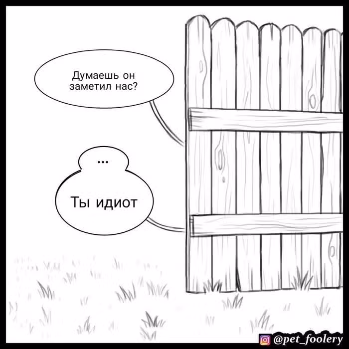 Брут и Пикси — Том 1 · Глава 14, страница 6