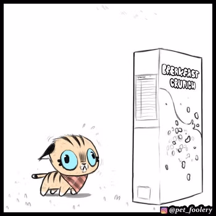 Брут и Пикси — Том 1 · Глава 16, страница 6
