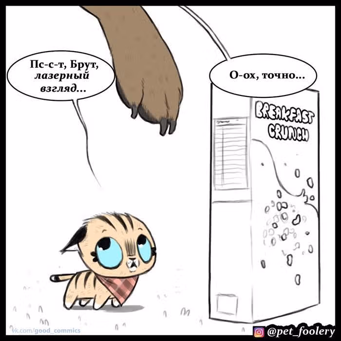 Брут и Пикси — Том 1 · Глава 16, страница 7