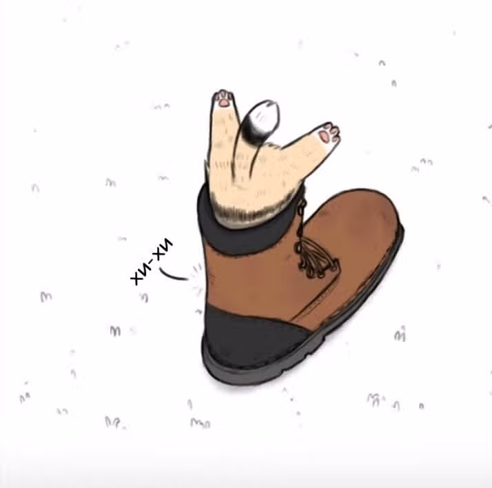 Брут и Пикси — Том 1 · Глава 19, страница 4