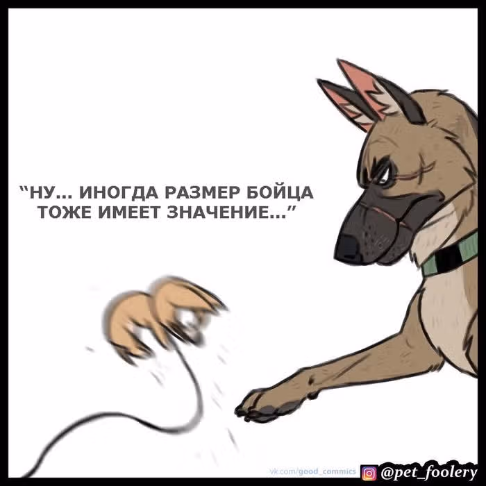 Брут и Пикси — Том 1 · Глава 20, страница 5