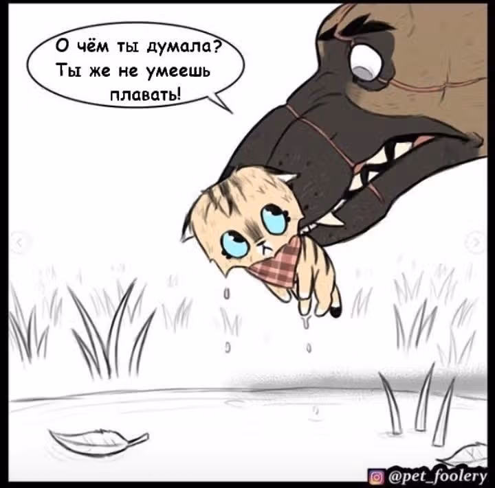 Брут и Пикси — Том 1 · Глава 21, страница 4