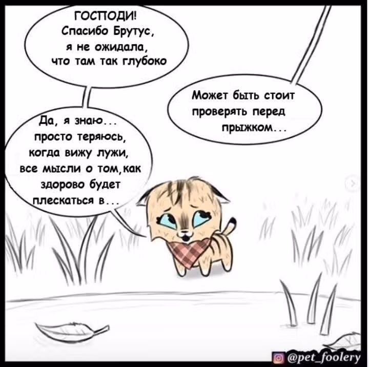 Брут и Пикси — Том 1 · Глава 21, страница 5