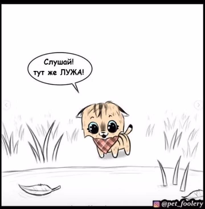 Брут и Пикси — Том 1 · Глава 21, страница 6