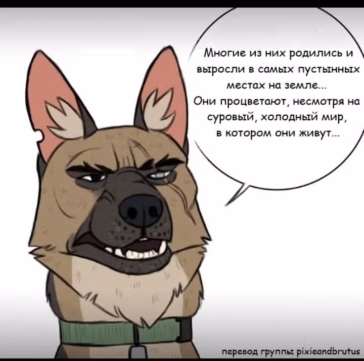 Брут и Пикси — Том 1 · Глава 22, страница 4