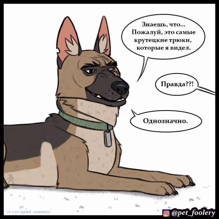 Брут и Пикси — Том 1 · Глава 25, страница 9