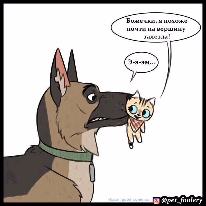 Брут и Пикси — Том 1 · Глава 28, страница 5
