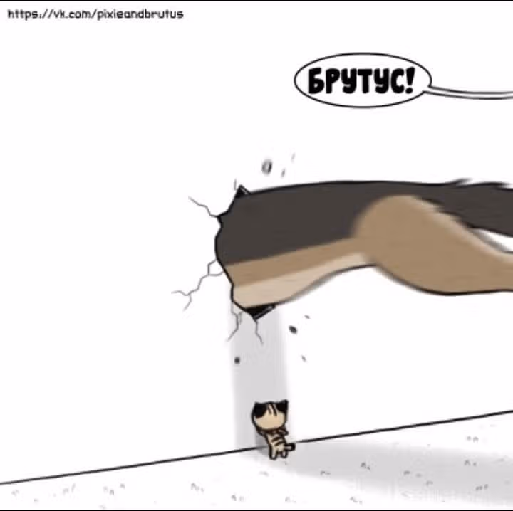 Брут и Пикси — Том 1 · Глава 30, страница 5