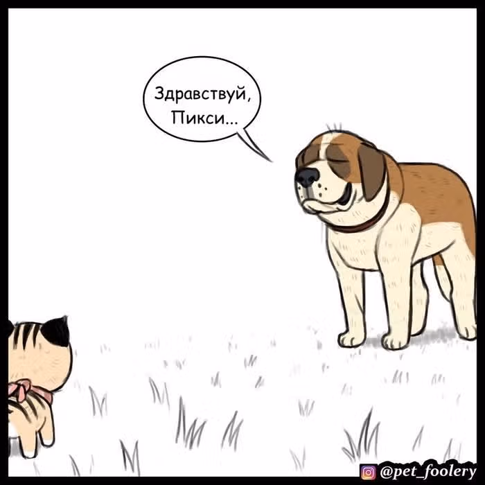 Брут и Пикси — Том 1 · Глава 31, страница 2