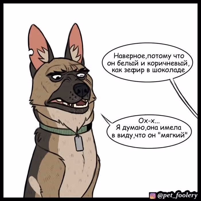 Брут и Пикси — Том 1 · Глава 34, страница 3
