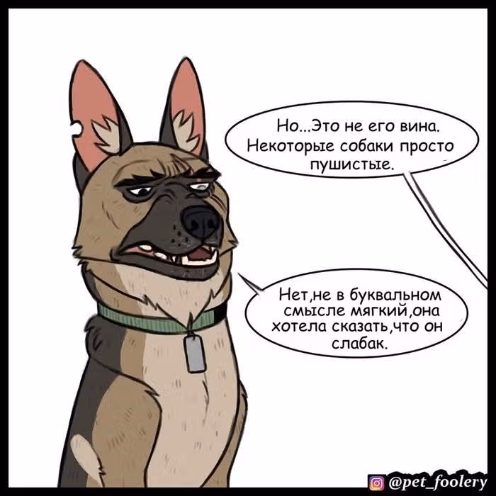 Брут и Пикси — Том 1 · Глава 34, страница 4