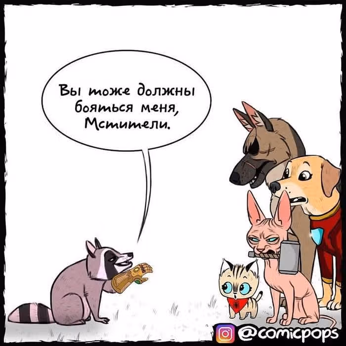 Брут и Пикси — Том 1 · Глава 38, страница 4
