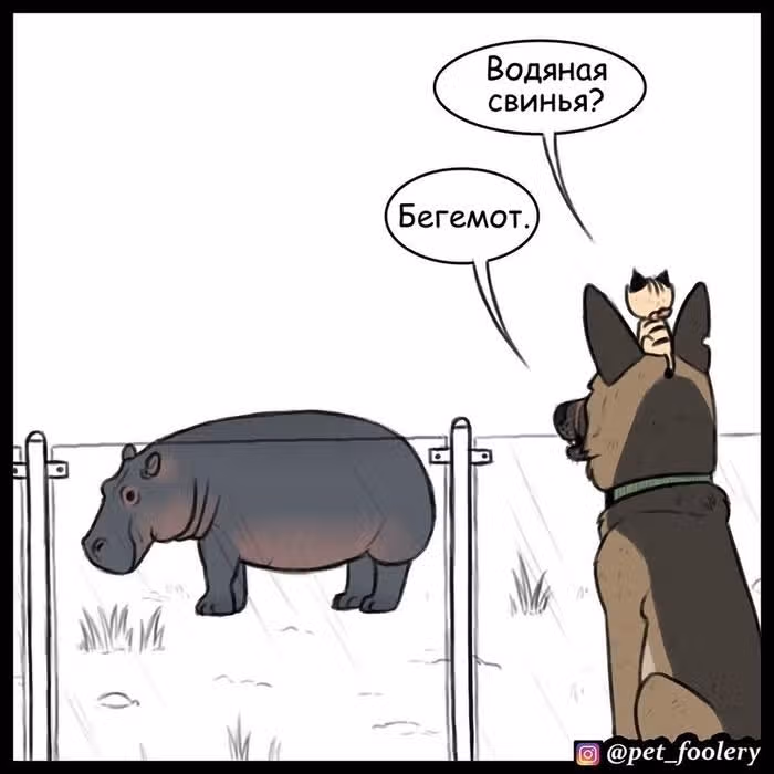 Брут и Пикси — Том 1 · Глава 39, страница 3