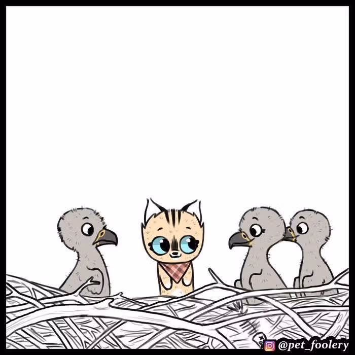 Брут и Пикси — Том 1 · Глава 42, страница 4