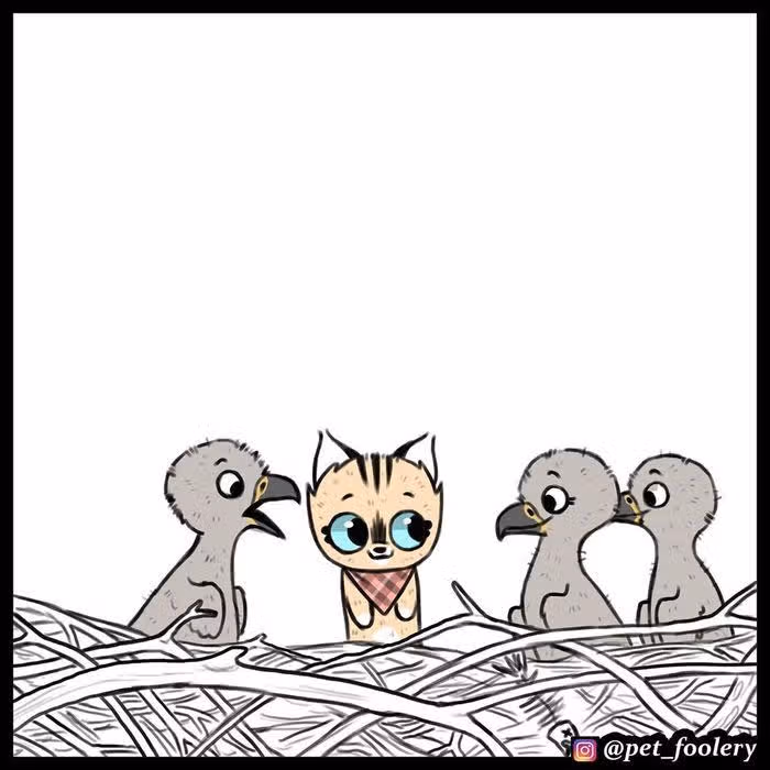 Брут и Пикси — Том 1 · Глава 42, страница 5