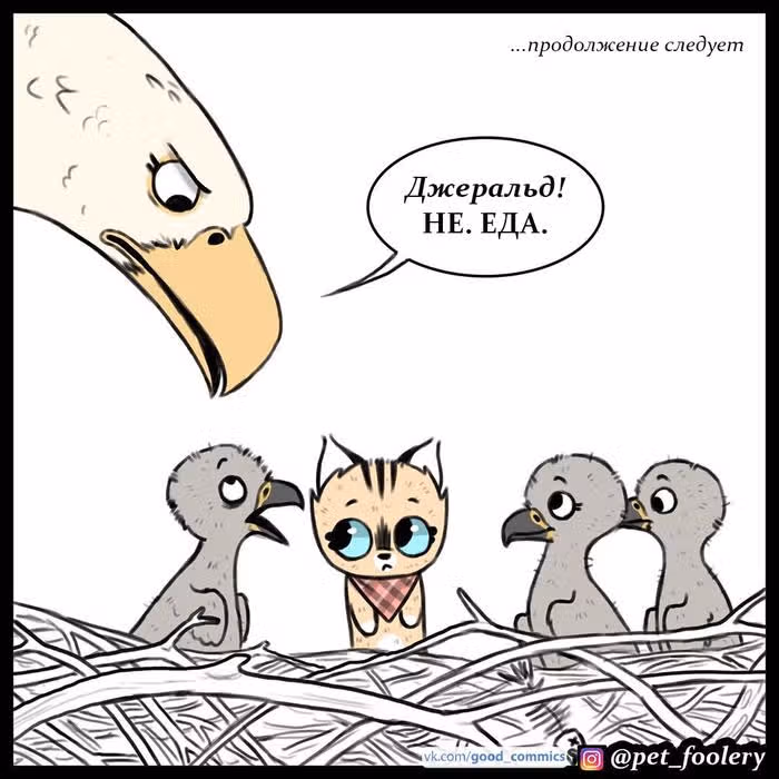 Брут и Пикси — Том 1 · Глава 42, страница 6