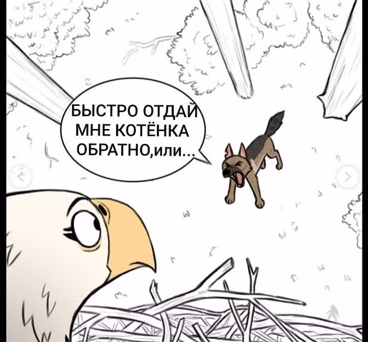 Брут и Пикси — Том 1 · Глава 43, страница 3