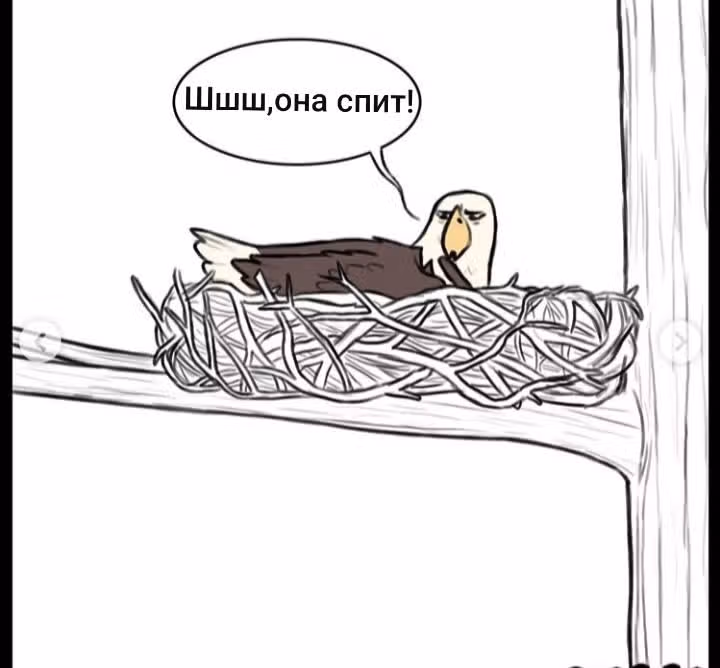 Брут и Пикси — Том 1 · Глава 43, страница 4