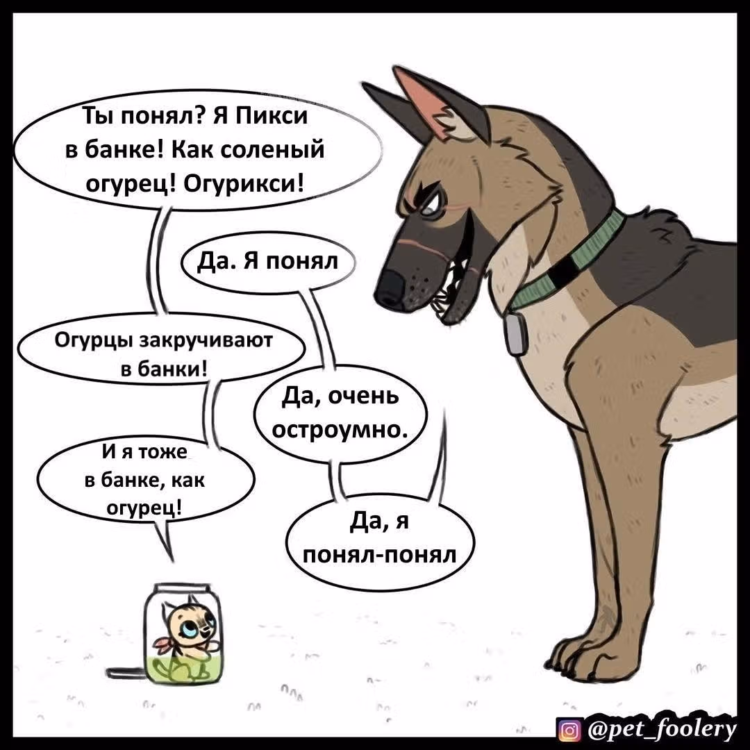 Брут и Пикси — Том 1 · Глава 48, страница 3