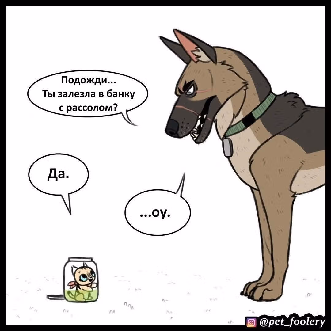 Брут и Пикси — Том 1 · Глава 48, страница 4