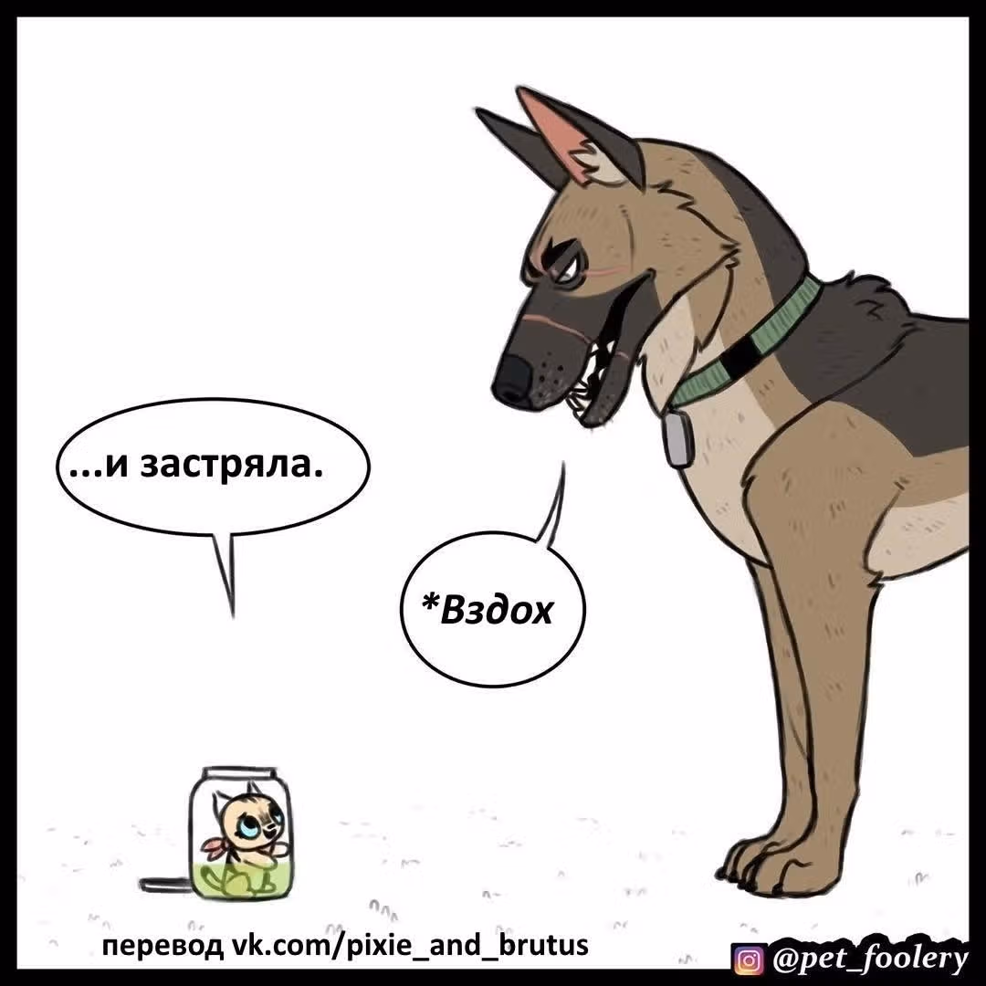 Брут и Пикси — Том 1 · Глава 48, страница 5