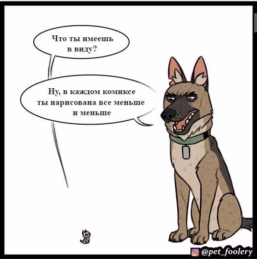 Брут и Пикси — Том 1 · Глава 49, страница 3