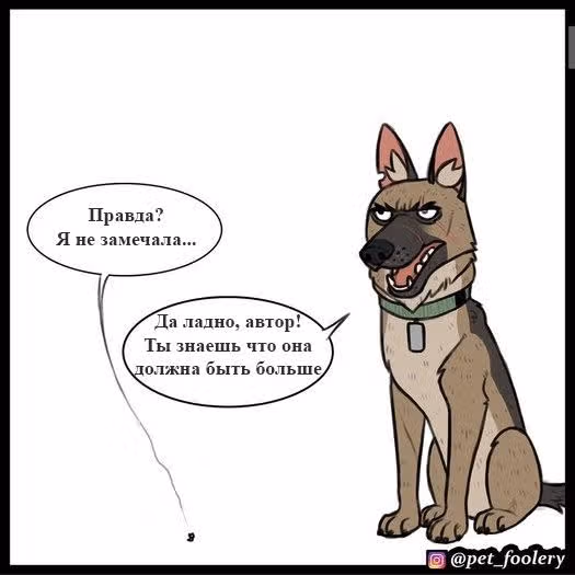 Брут и Пикси — Том 1 · Глава 49, страница 4