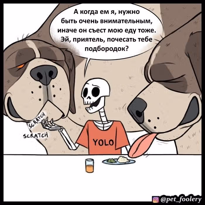 Брут и Пикси — Том 1 · Глава 60, страница 3