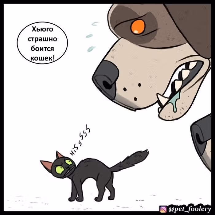 Брут и Пикси — Том 1 · Глава 60, страница 7