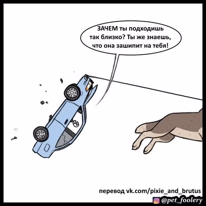 Брут и Пикси — Том 1 · Глава 60, страница 8