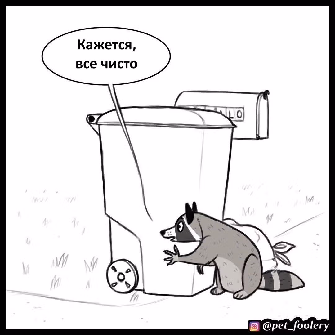 Брут и Пикси — Том 1 · Глава 63, страница 1