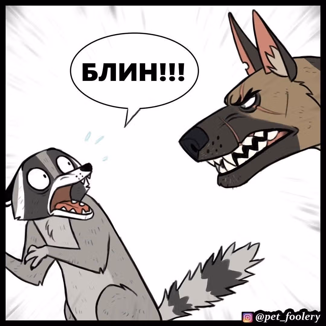 Брут и Пикси — Том 1 · Глава 63, страница 3