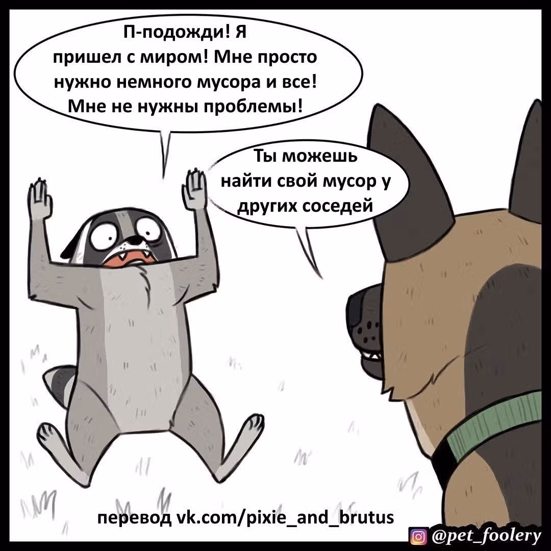 Брут и Пикси — Том 1 · Глава 63, страница 4