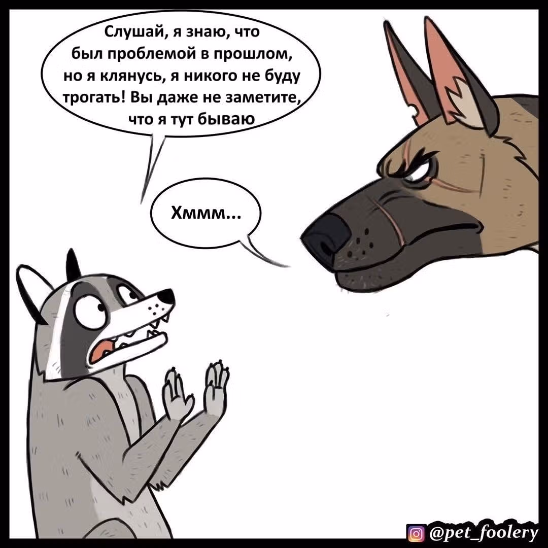 Брут и Пикси — Том 1 · Глава 63, страница 5