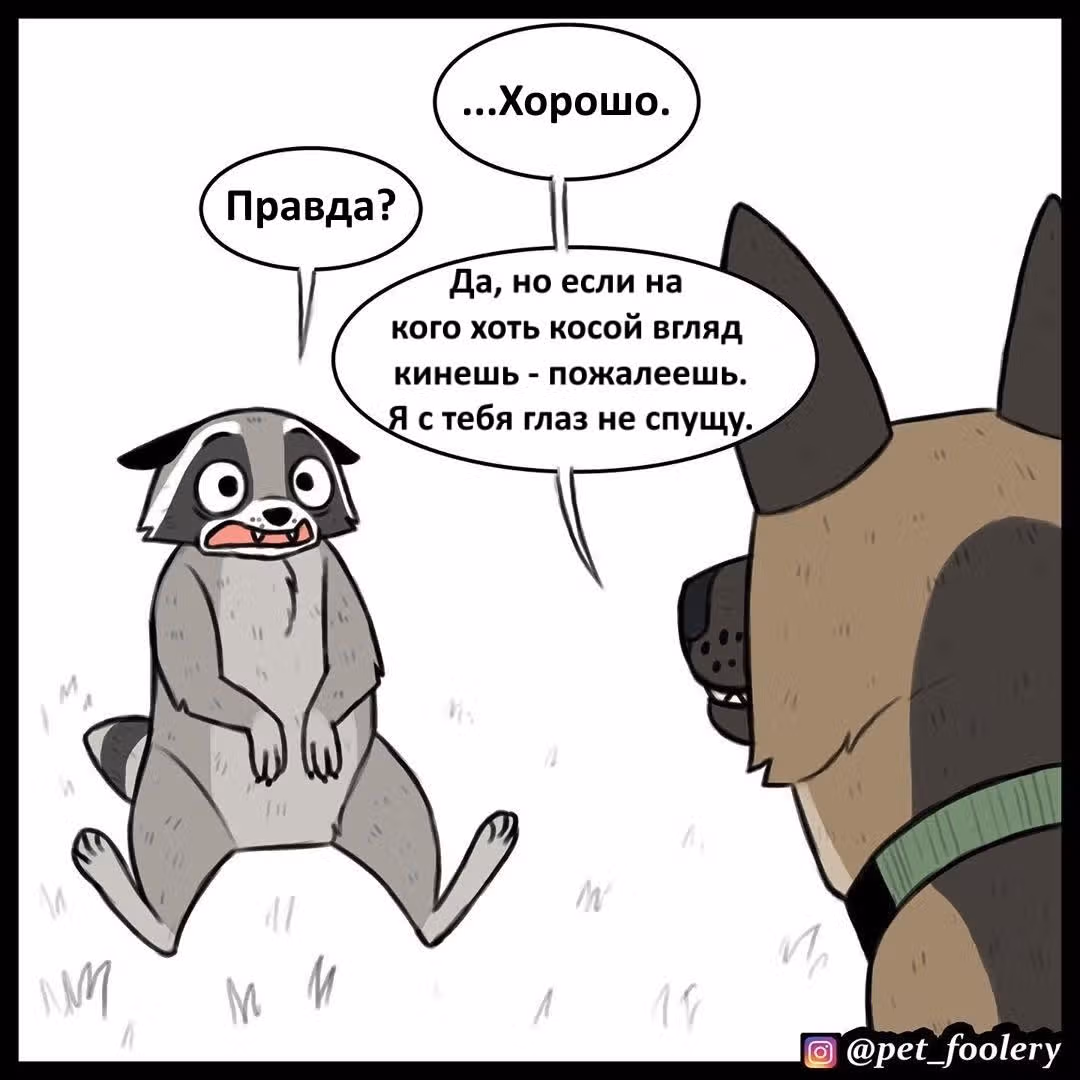 Брут и Пикси — Том 1 · Глава 63, страница 6