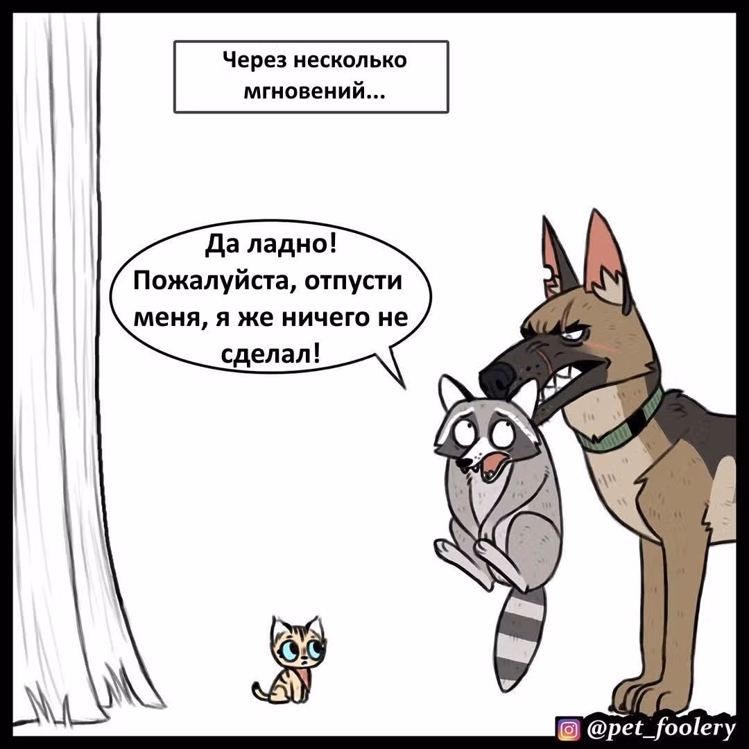 Брут и Пикси — Том 1 · Глава 64, страница 3
