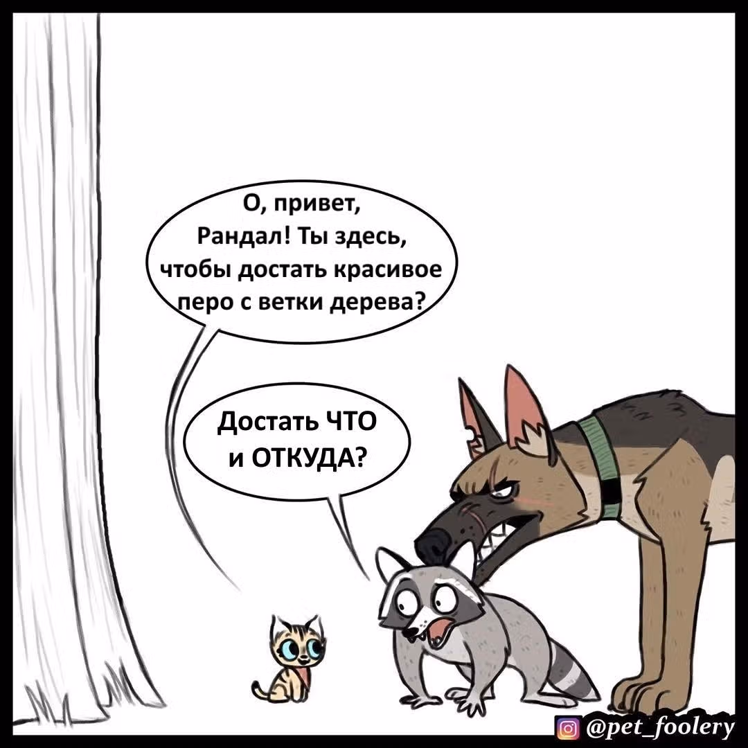 Брут и Пикси — Том 1 · Глава 64, страница 4