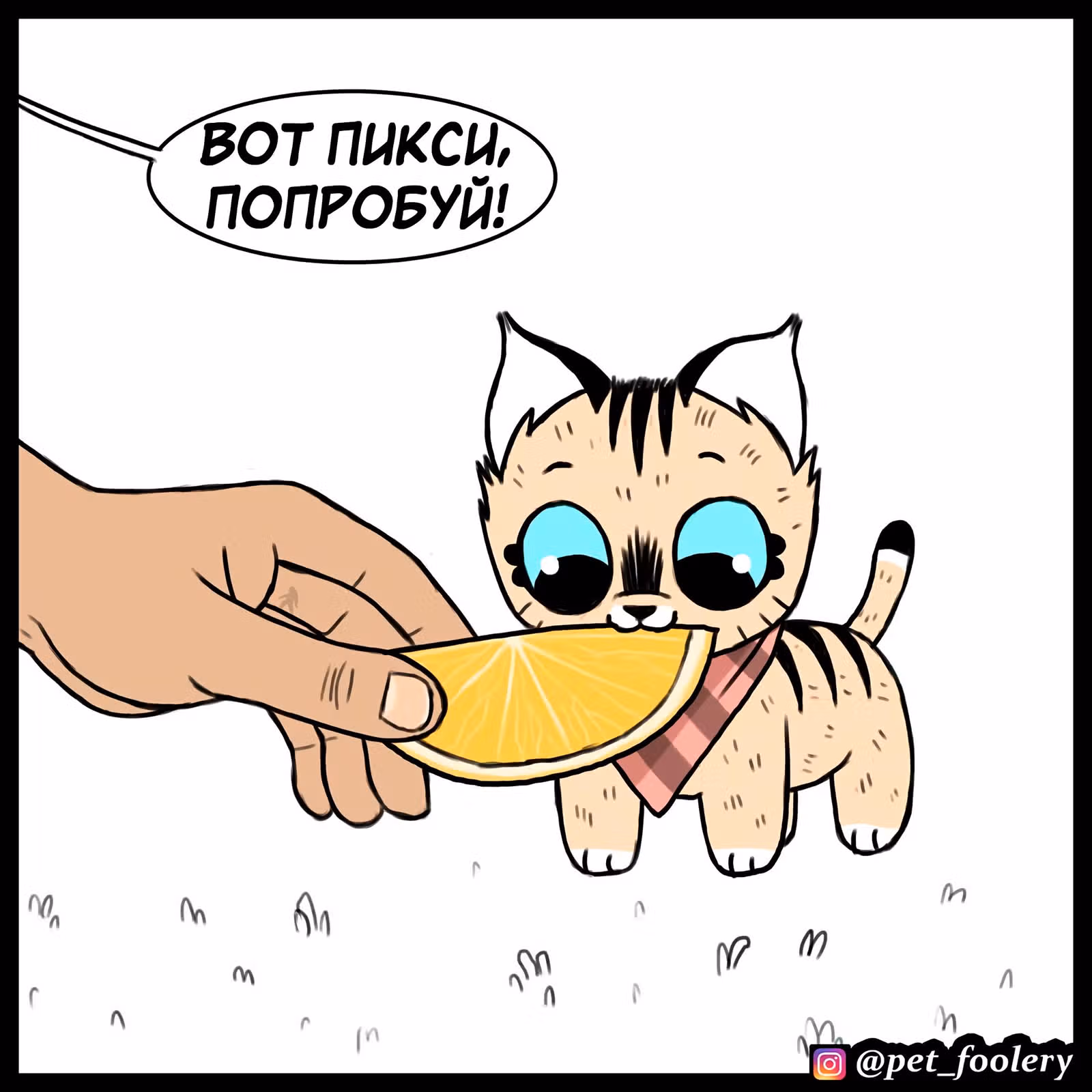 Брут и Пикси — Том 1 · Глава 73, страница 1