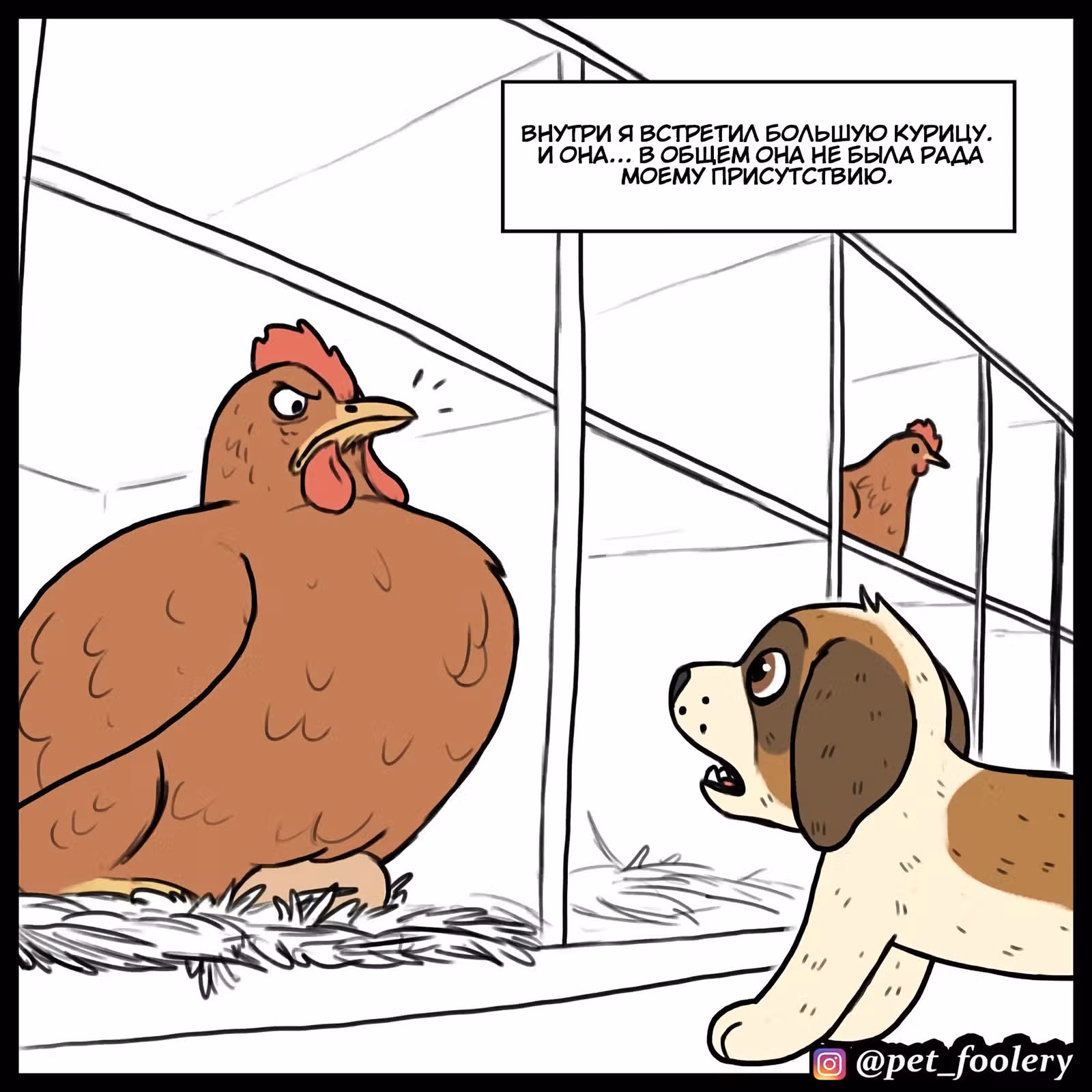 Брут и Пикси — Том 1 · Глава 78, страница 4