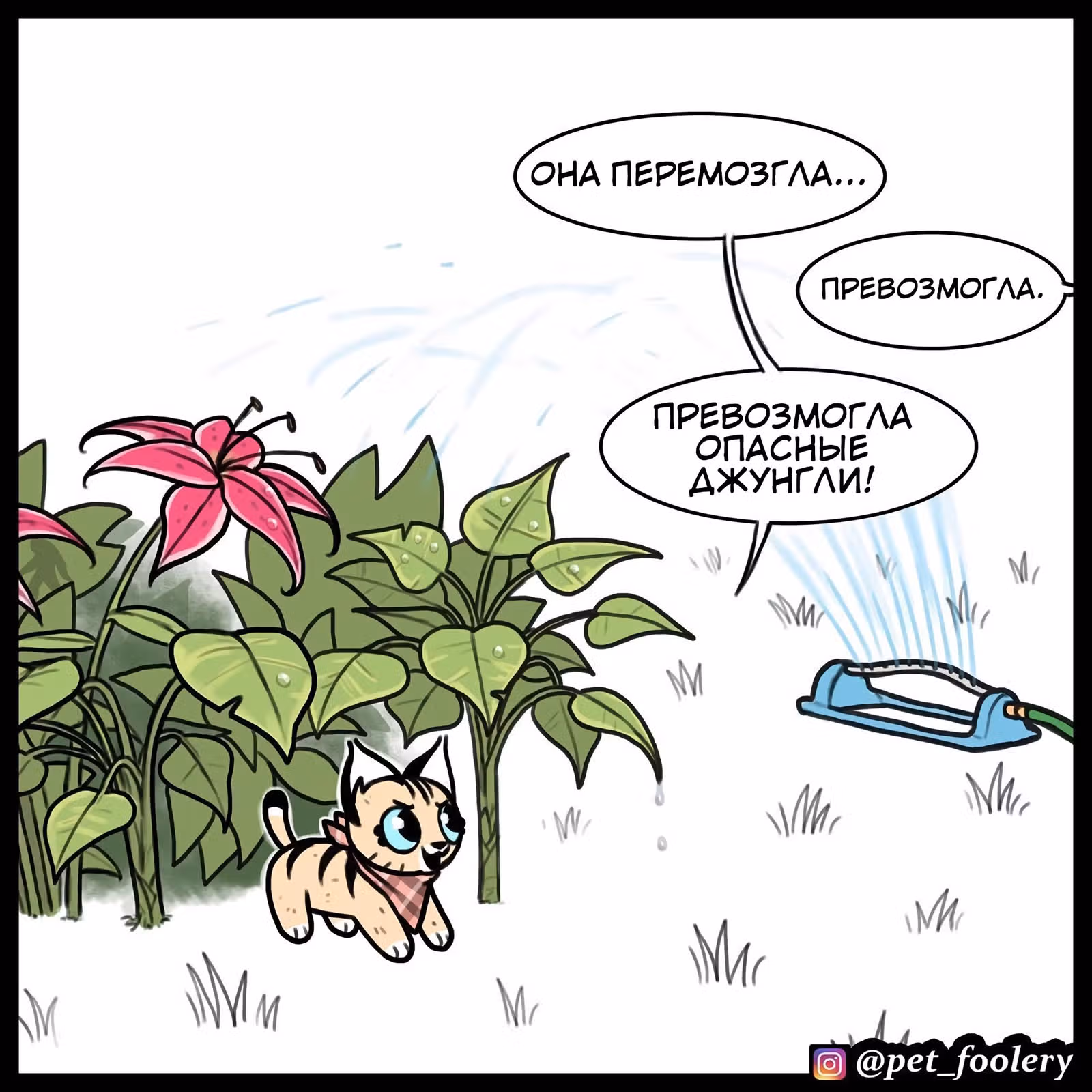 Брут и Пикси — Том 1 · Глава 79, страница 2