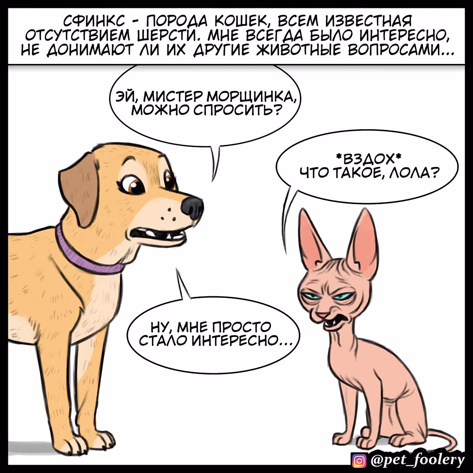 Брут и Пикси — Том 1 · Глава 79.2, страница 1