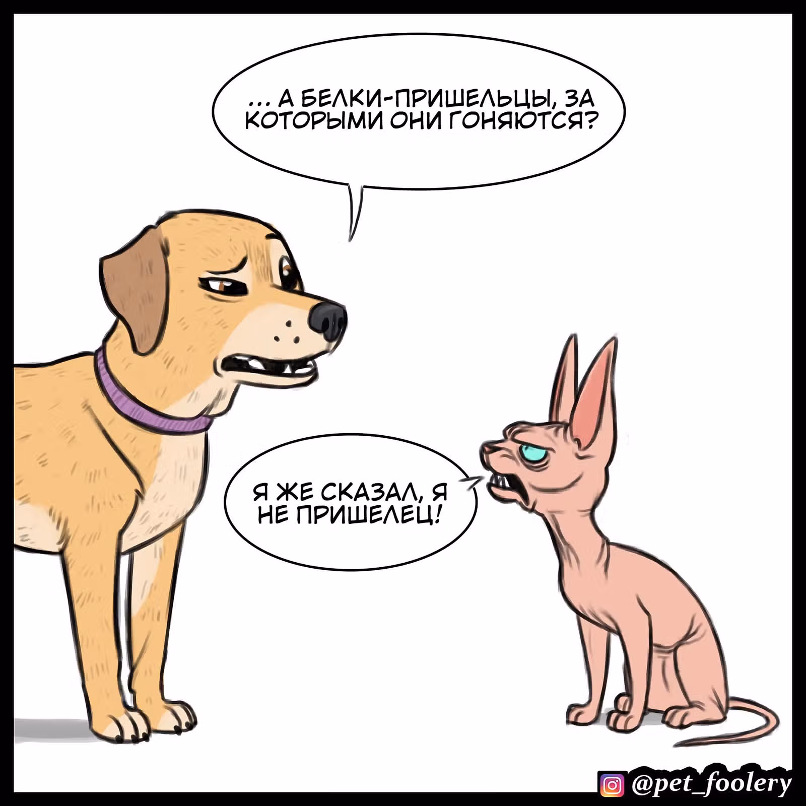 Брут и Пикси — Том 1 · Глава 79.2, страница 3