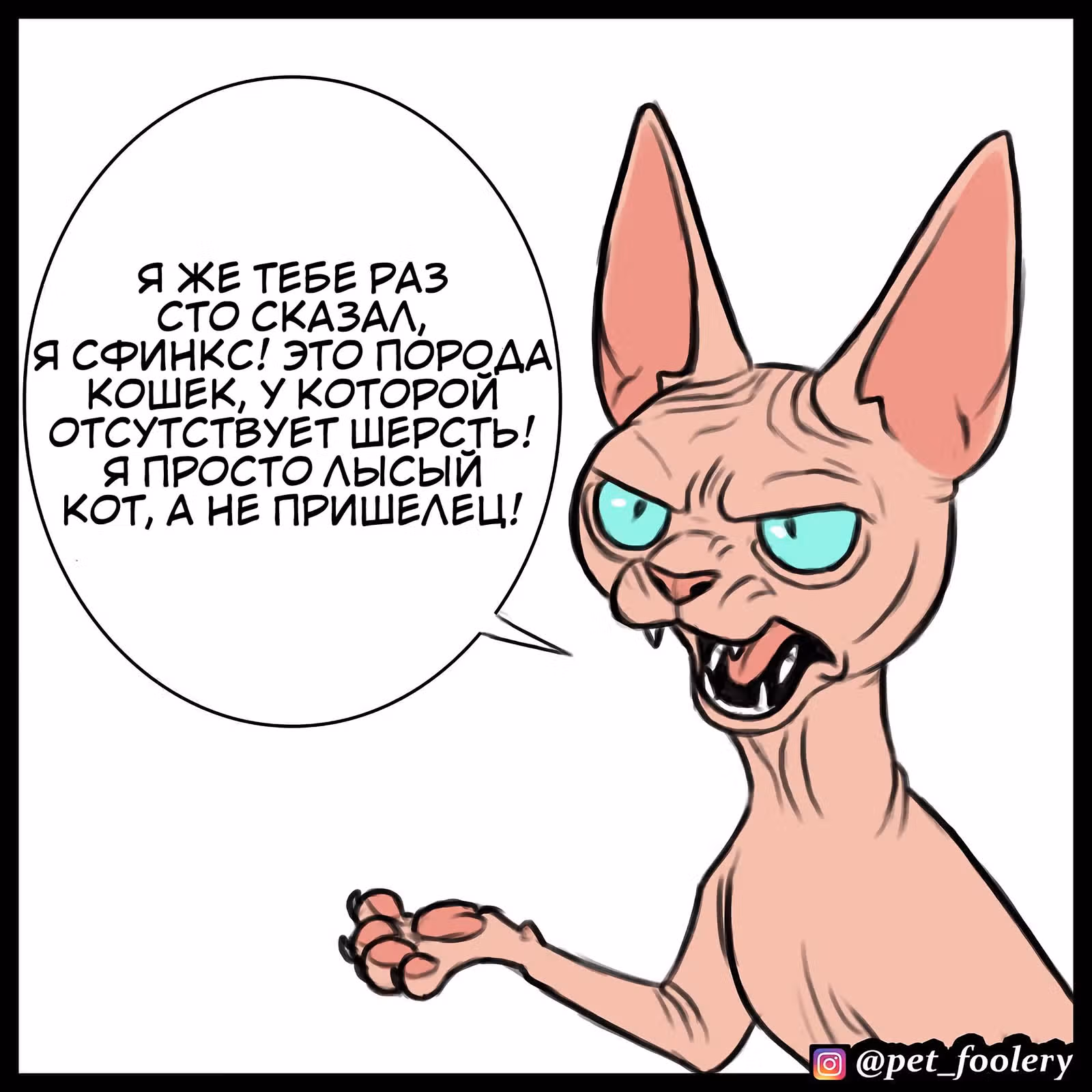 Брут и Пикси — Том 1 · Глава 79.2, страница 4
