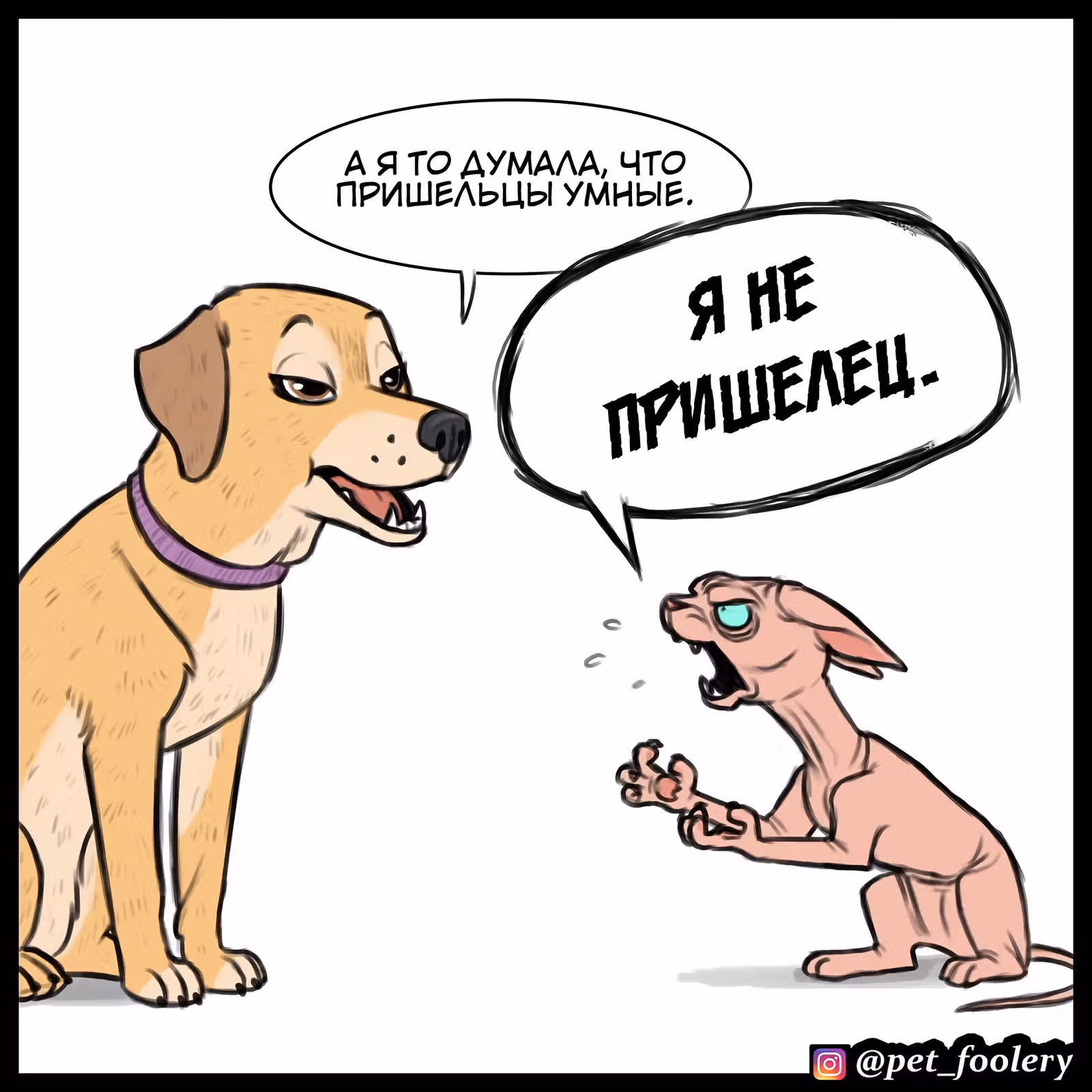 Брут и Пикси — Том 1 · Глава 79.2, страница 9