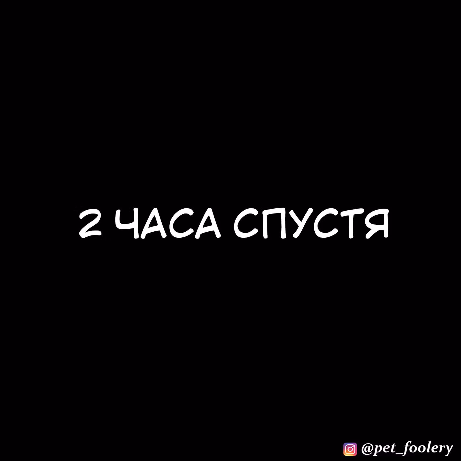 Брут и Пикси — Том 1 · Глава 79.3, страница 5