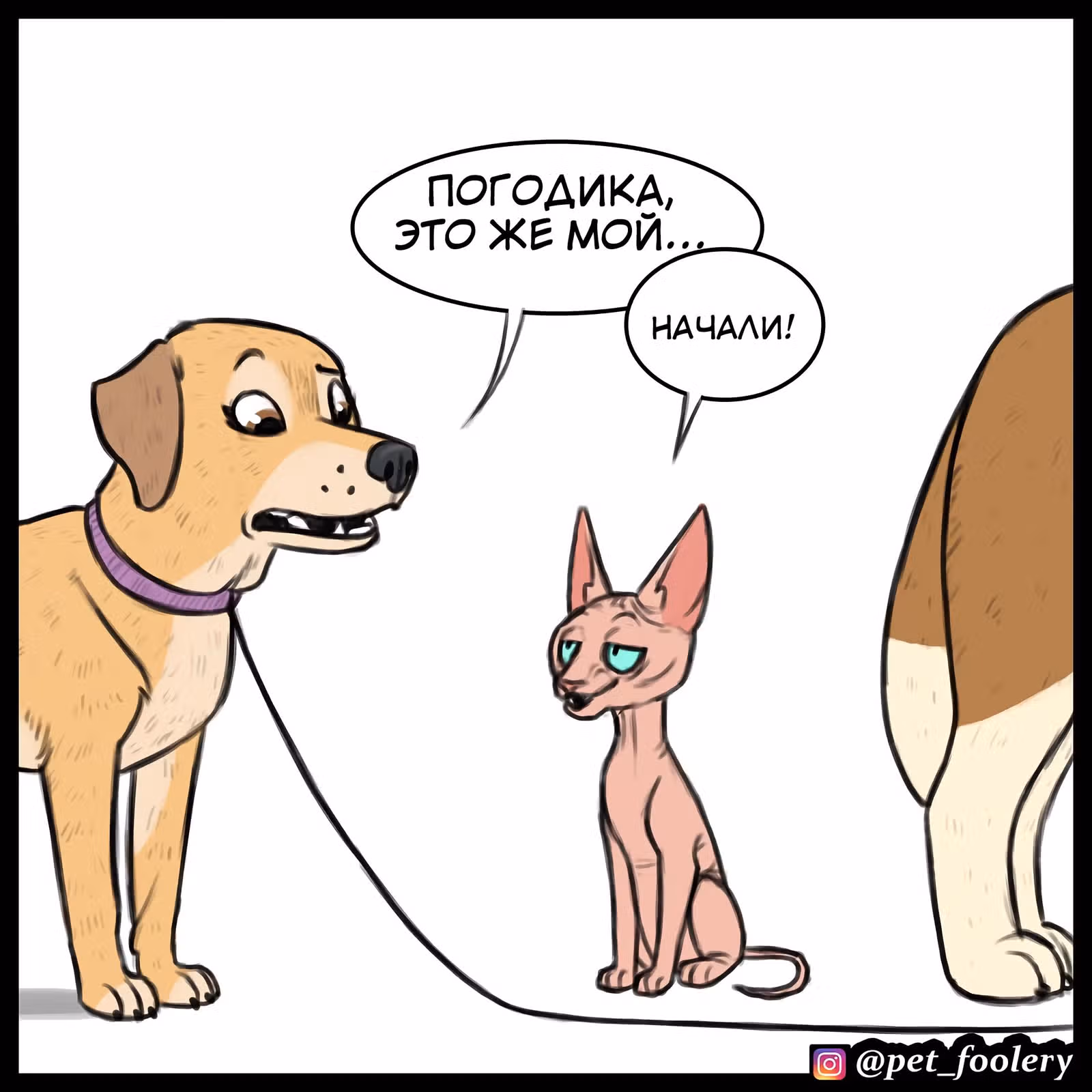 Брут и Пикси — Том 1 · Глава 79.5, страница 5