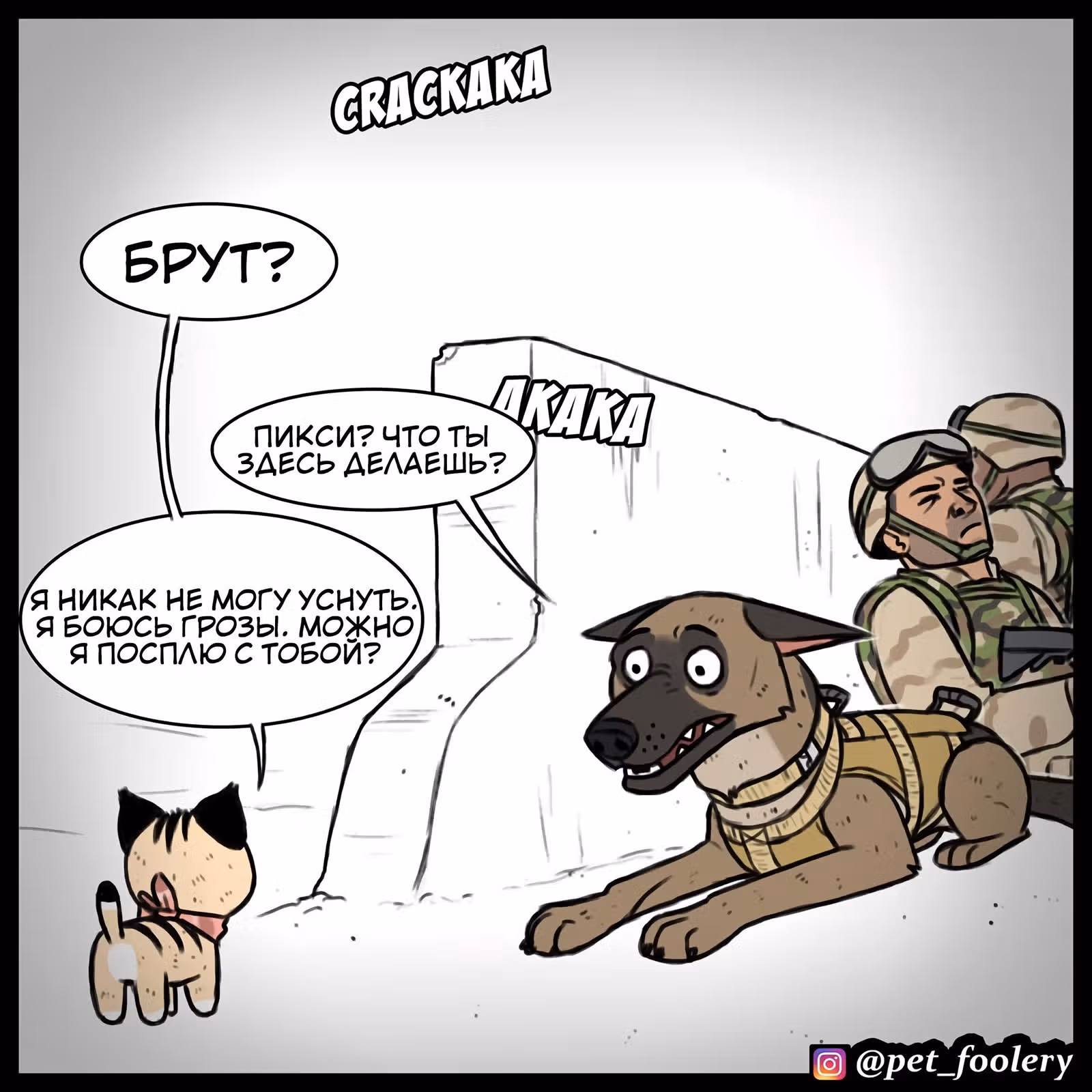 Брут и Пикси — Том 1 · Глава 81, страница 5