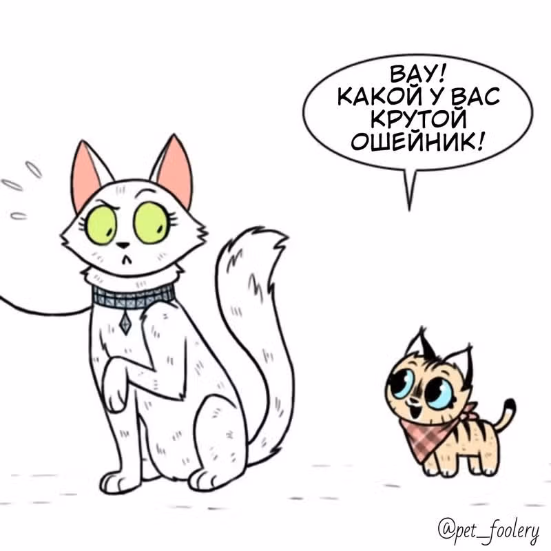 Брут и Пикси — Том 1 · Глава 83, страница 1