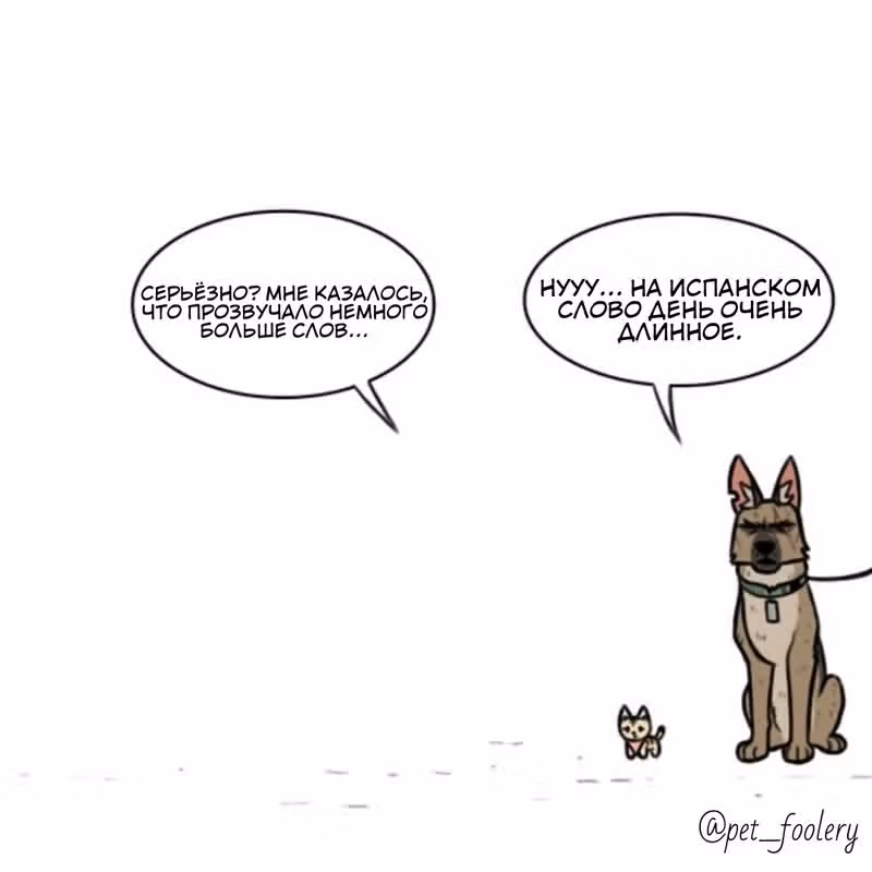 Брут и Пикси — Том 1 · Глава 83, страница 8
