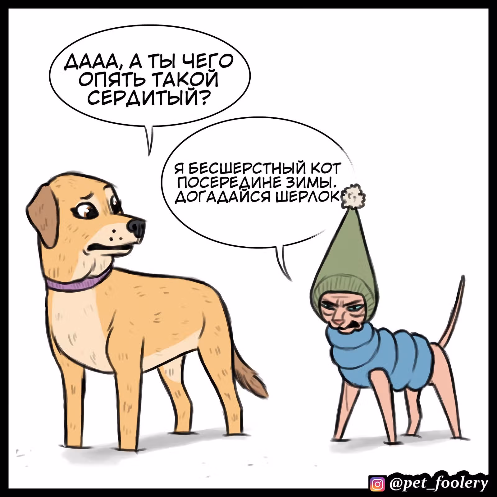 Брут и Пикси — Том 1 · Глава 84, страница 3